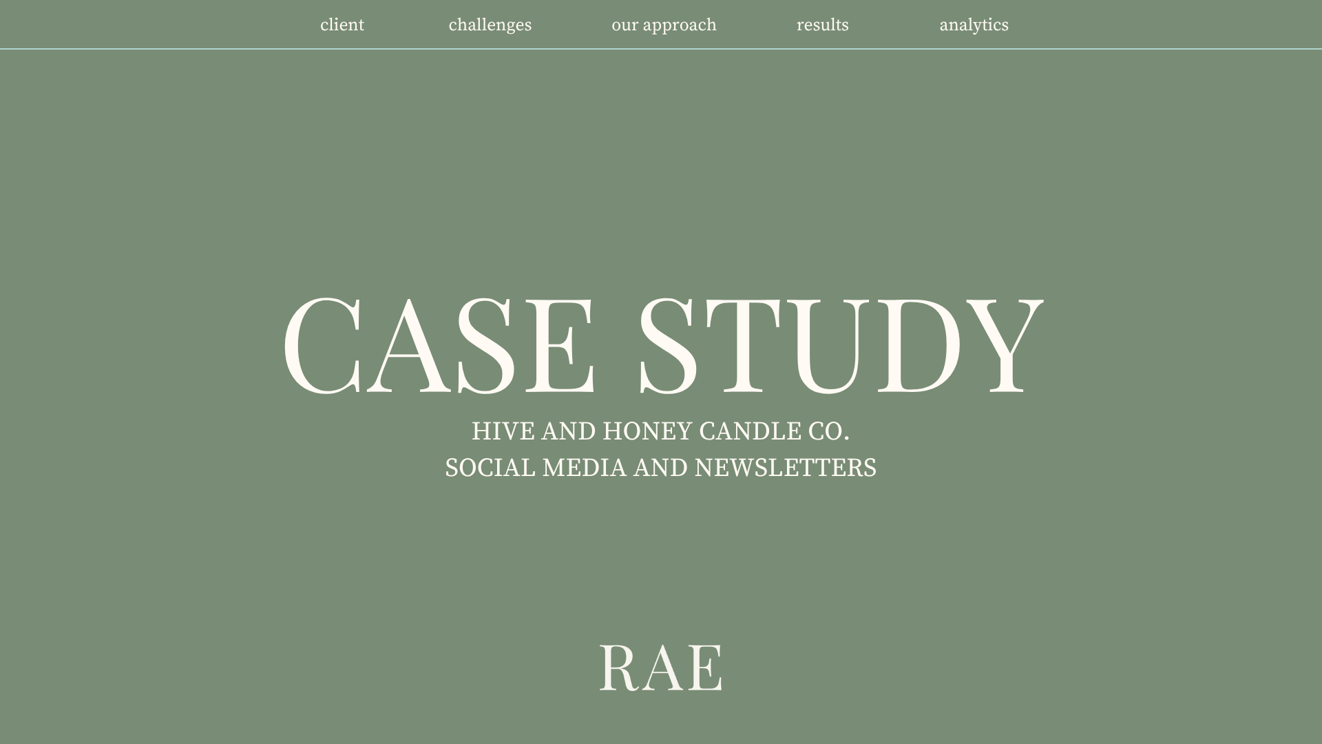 Hive & Honey case study slide 1