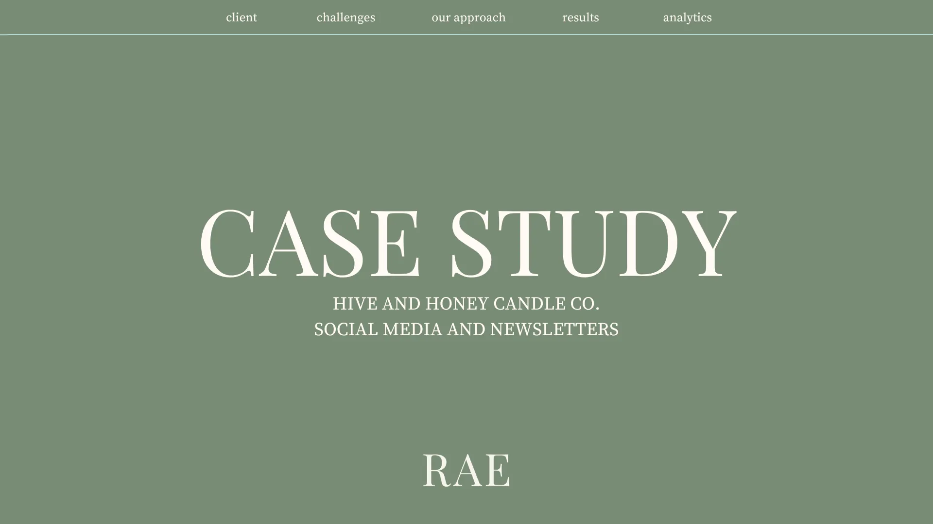Hive & Honey case study slide 1